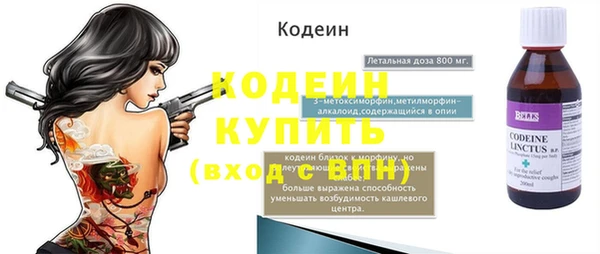хмурый Магас