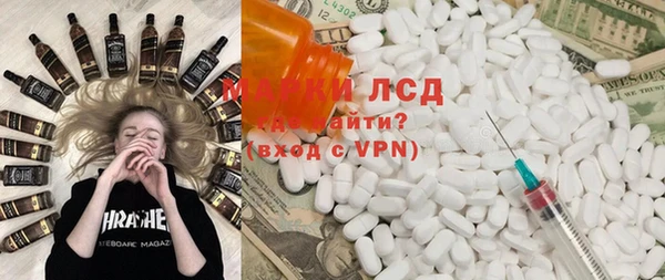 хмурый Магас