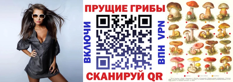 Псилоцибиновые грибы Psilocybe  Купить  Красный Кут 